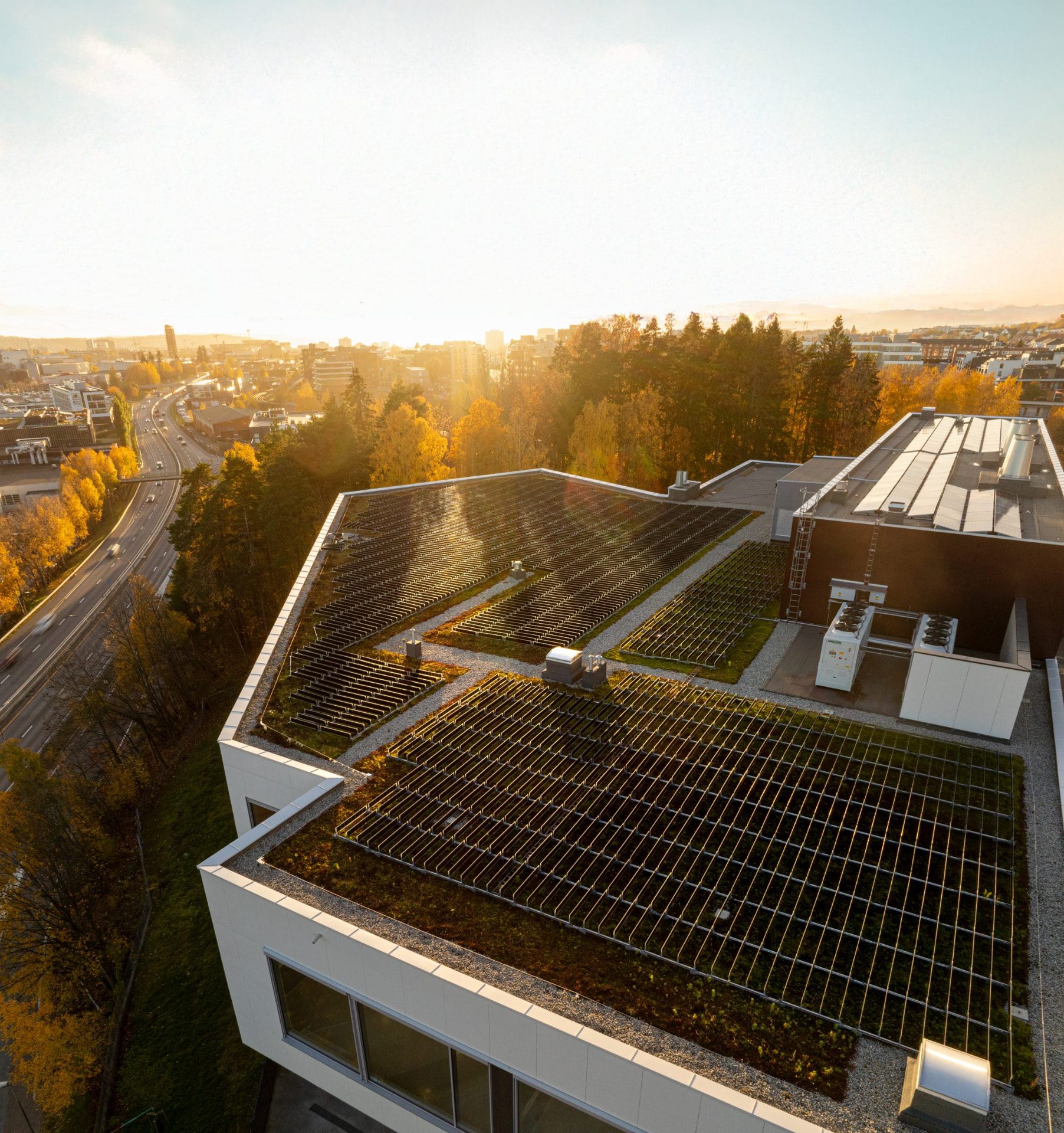 Over Easy Solar vertical units on the Bilia Vollebekk green roof in Oslo, Norway at sunset